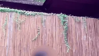 私人定制剧情！泳池边激情内射人妻，偷偷操邻居少妇爽到腿软 封面