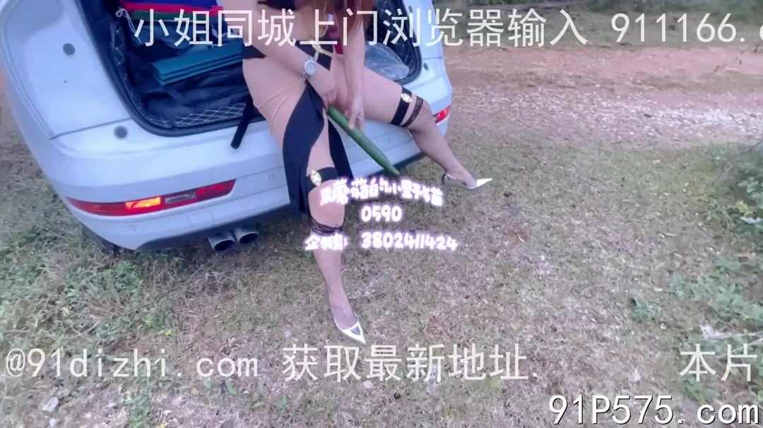 小野猫野餐后车尾黄瓜自慰