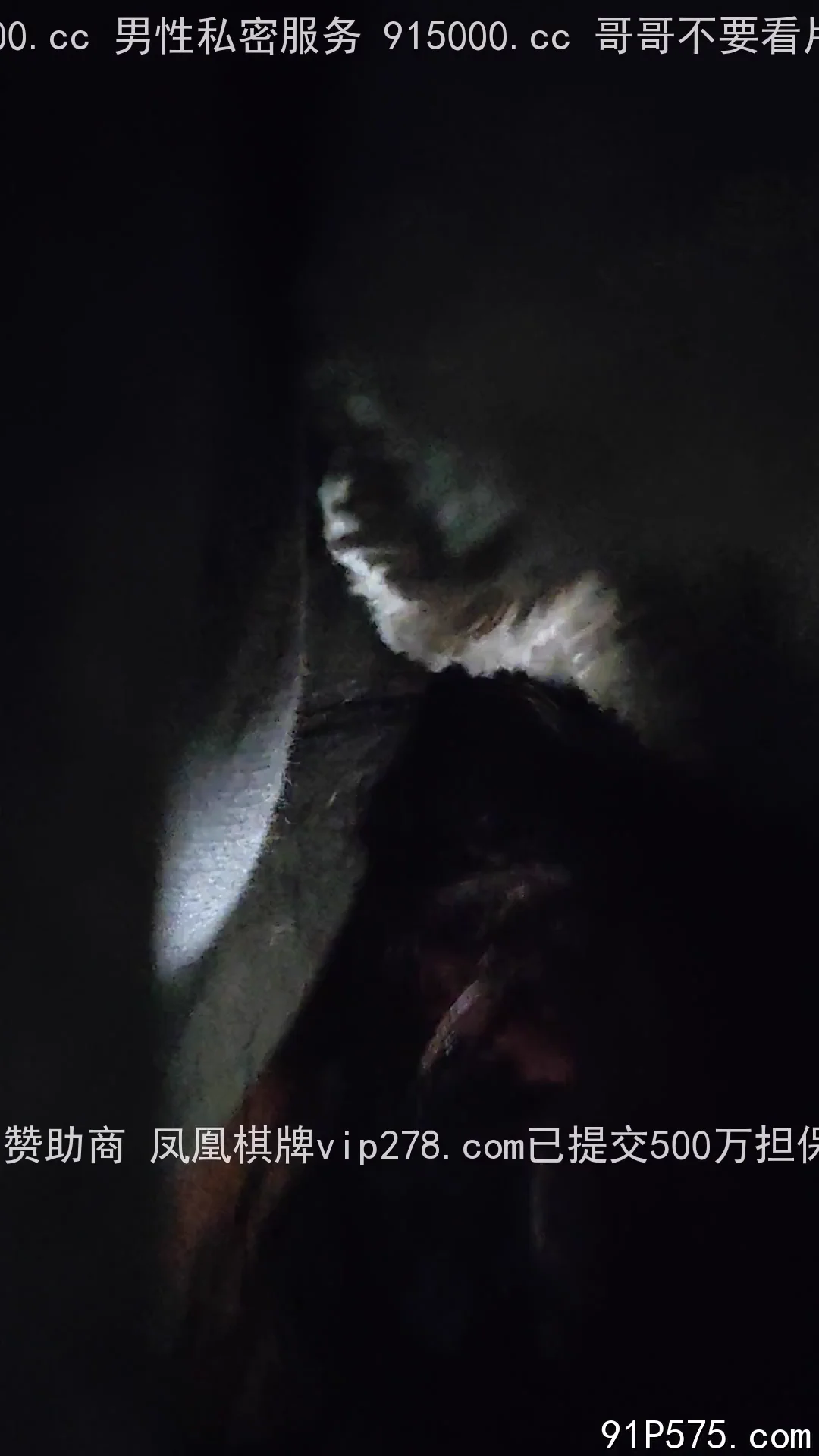 车内深喉
